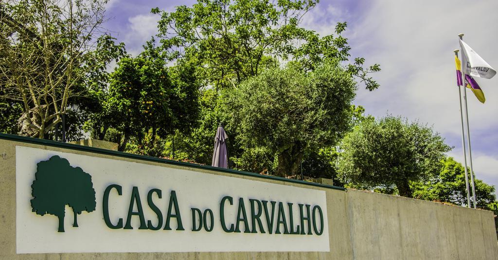 Apartamento Casa Do Carvalho - Ponte De Lima Exterior foto